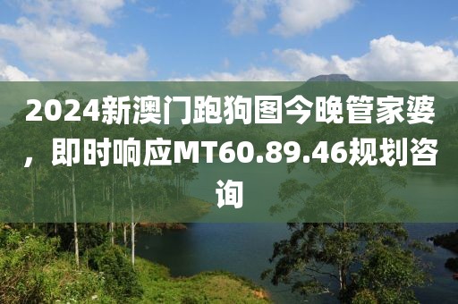 2024新澳门跑狗图今晚管家婆，即时响应MT60.89.46规划咨询