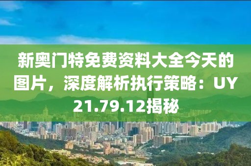 新奥门特免费资料大全今天的图片，深度解析执行策略：UY21.79.12揭秘