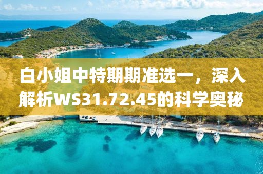 白小姐中特期期准选一，深入解析WS31.72.45的科学奥秘