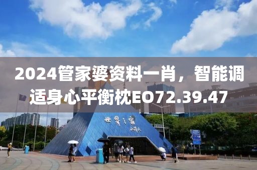 2024管家婆资料一肖，智能调适身心平衡枕EO72.39.47