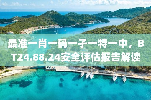 最准一肖一码一孑一特一中，BT24.88.24安全评估报告解读