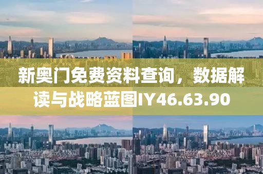 新奥门免费资料查询，数据解读与战略蓝图IY46.63.90