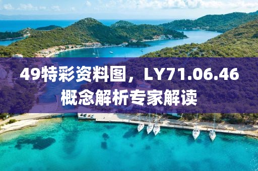 49特彩资料图，LY71.06.46概念解析专家解读