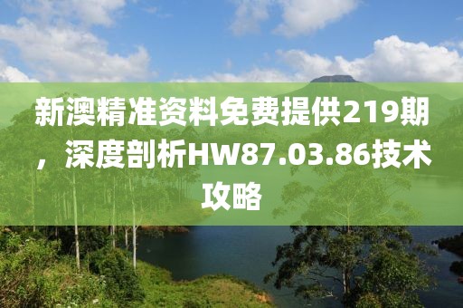 新澳精准资料免费提供219期，深度剖析HW87.03.86技术攻略