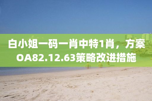 白小姐一码一肖中特1肖，方案OA82.12.63策略改进措施