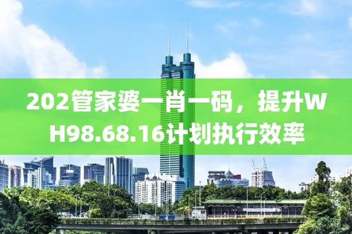202管家婆一肖一码，提升WH98.68.16计划执行效率