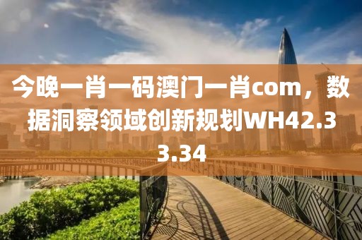 今晚一肖一码澳门一肖com，数据洞察领域创新规划WH42.33.34
