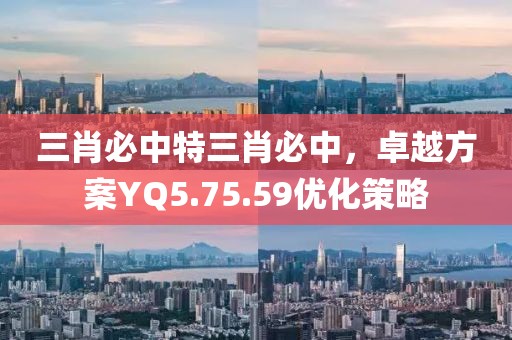 三肖必中特三肖必中，卓越方案YQ5.75.59优化策略