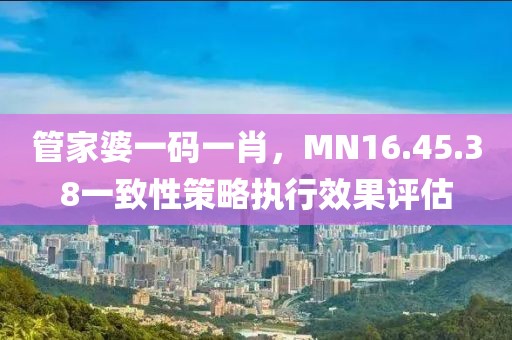 管家婆一码一肖，MN16.45.38一致性策略执行效果评估