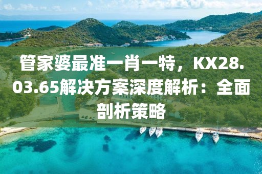 管家婆最准一肖一特，KX28.03.65解决方案深度解析：全面剖析策略