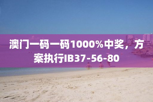 澳门一码一码1000%中奖，方案执行IB37-56-80