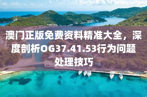 澳门正版免费资料精准大全，深度剖析OG37.41.53行为问题处理技巧