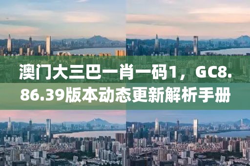 澳门大三巴一肖一码1，GC8.86.39版本动态更新解析手册