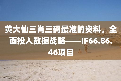 黄大仙三肖三码最准的资料，全面投入数据战略——IF66.86.46项目