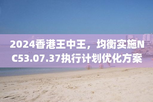 2024香港王中王，均衡实施NC53.07.37执行计划优化方案