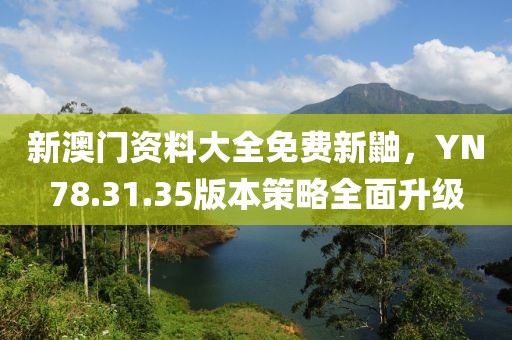 新澳门资料大全免费新鼬，YN78.31.35版本策略全面升级
