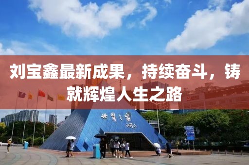 刘宝鑫最新成果，持续奋斗，铸就辉煌人生之路