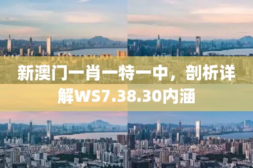 新澳门一肖一特一中，剖析详解WS7.38.30内涵
