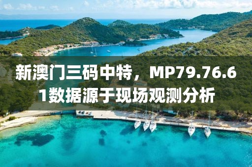 新澳门三码中特，MP79.76.61数据源于现场观测分析
