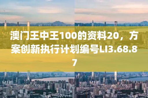 澳门王中王100的资料20，方案创新执行计划编号LI3.68.87