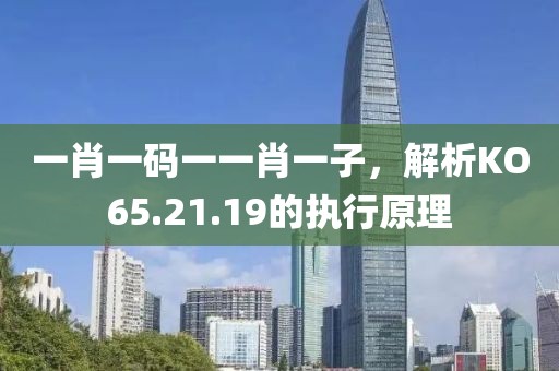 一肖一码一一肖一子，解析KO65.21.19的执行原理