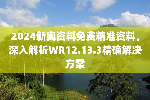 2024新奥资料免费精准资料，深入解析WR12.13.3精确解决方案