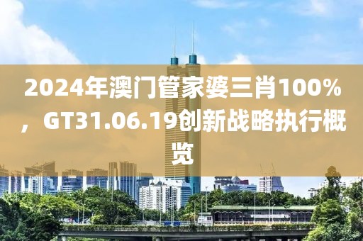 2024年澳门管家婆三肖100%，GT31.06.19创新战略执行概览