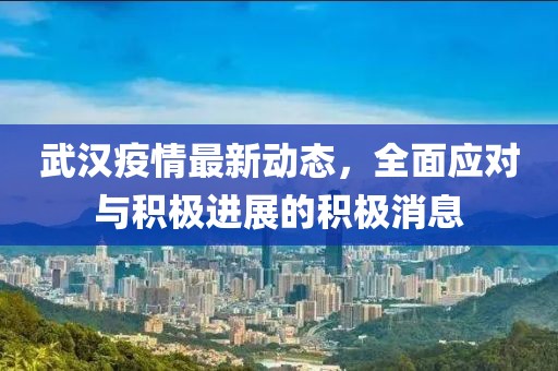 武汉疫情最新动态，全面应对与积极进展的积极消息