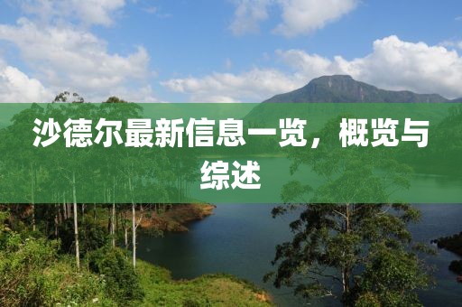 沙德尔最新信息一览，概览与综述