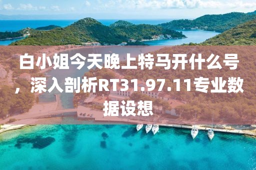 白小姐今天晚上特马开什么号，深入剖析RT31.97.11专业数据设想