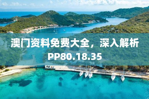 澳门资料免费大全，深入解析PP80.18.35