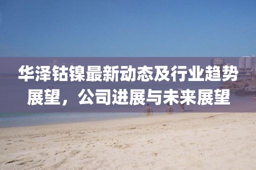 华泽钴镍最新动态及行业趋势展望，公司进展与未来展望