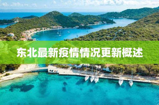 东北最新疫情情况更新概述