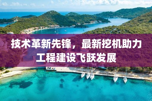技术革新先锋，最新挖机助力工程建设飞跃发展