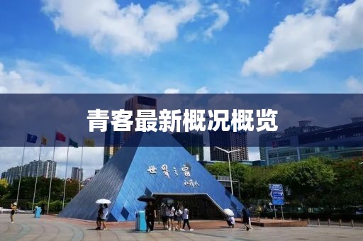 青客最新概况概览