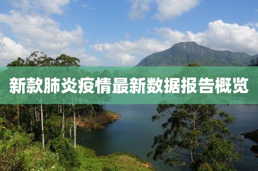 新款肺炎疫情最新数据报告概览