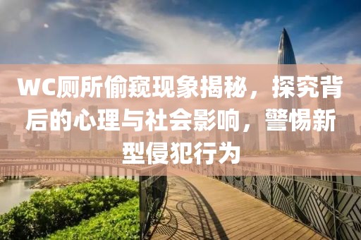 WC厕所偷窥现象揭秘，探究背后的心理与社会影响，警惕新型侵犯行为