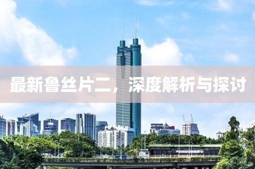 最新鲁丝片二，深度解析与探讨