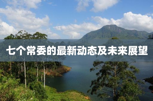 七个常委的最新动态及未来展望