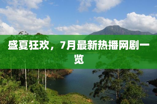 飘云的天空 第28页