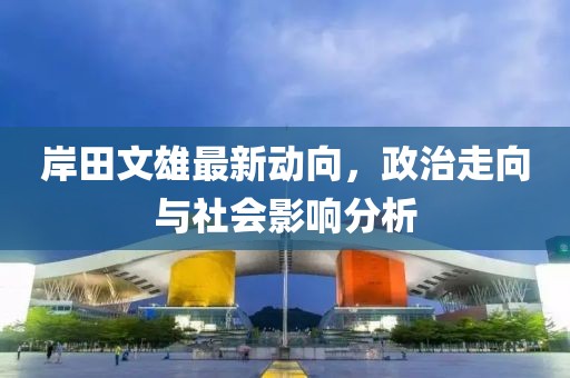 岸田文雄最新动向，政治走向与社会影响分析