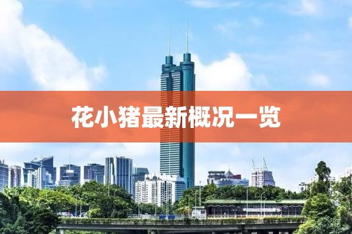 花小猪最新概况一览