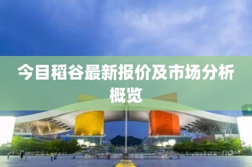 今目稻谷最新报价及市场分析概览