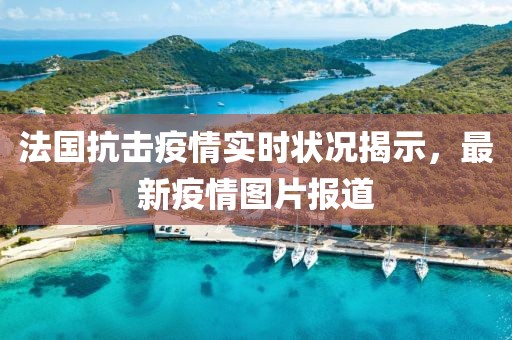 法国抗击疫情实时状况揭示，最新疫情图片报道