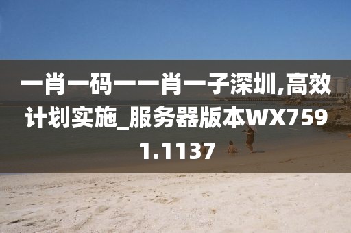 一肖一码一一肖一子深圳,高效计划实施_服务器版本WX7591.1137