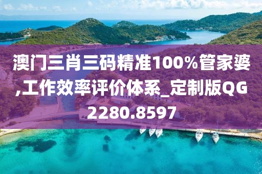 澳门三肖三码精准100%管家婆,工作效率评价体系_定制版QG2280.8597