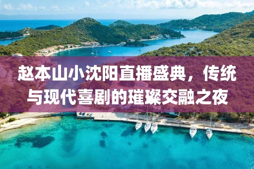 赵本山小沈阳直播盛典，传统与现代喜剧的璀璨交融之夜