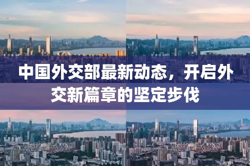 中国外交部最新动态，开启外交新篇章的坚定步伐