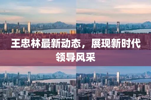 王忠林最新动态，展现新时代领导风采