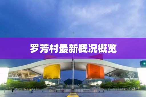 罗芳村最新概况概览